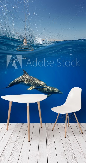 Picture of Half water split A pair of dolphins playing under water line with splashes